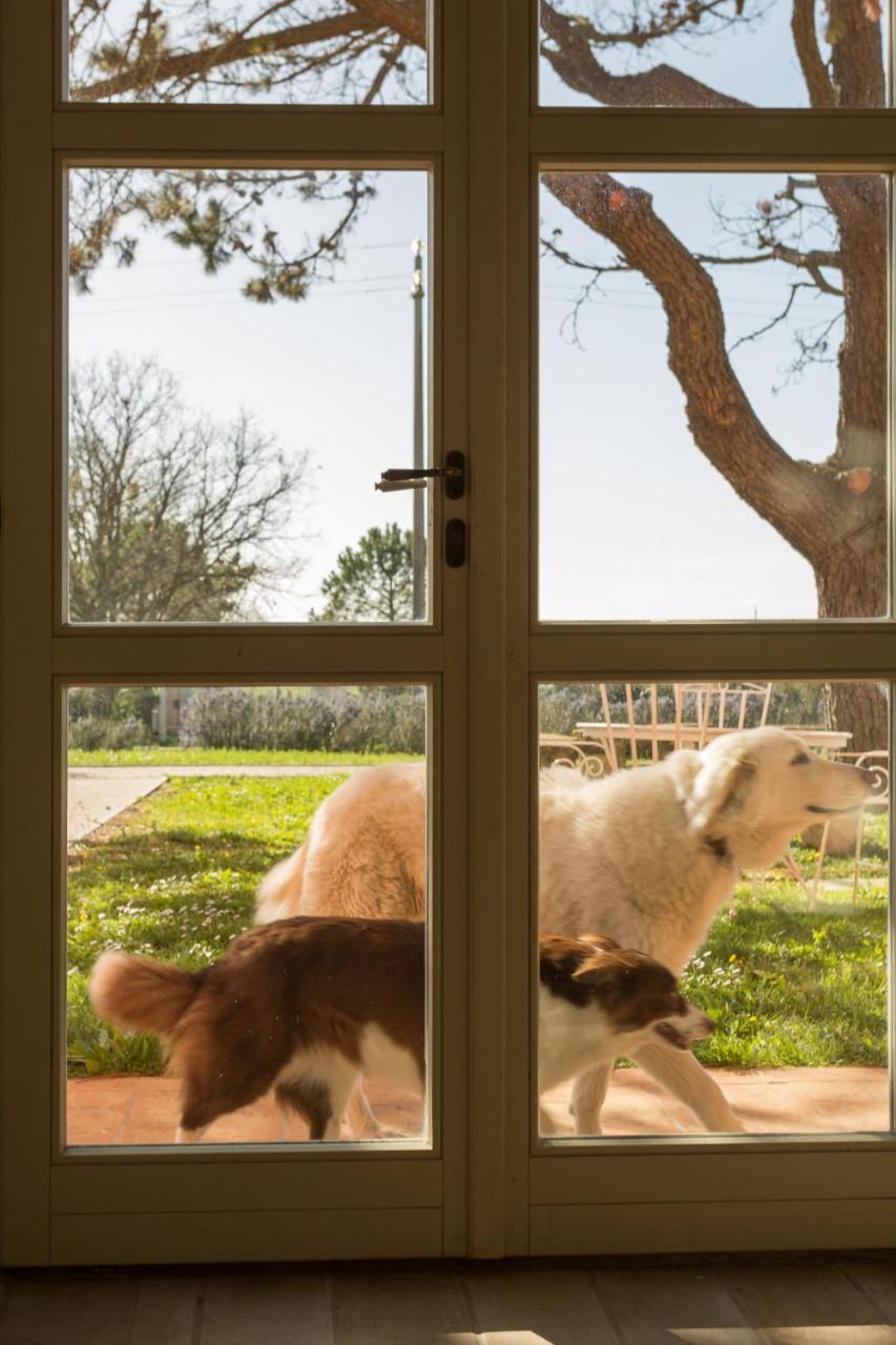 Residence La Beccanina Scarlino Kültér fotó